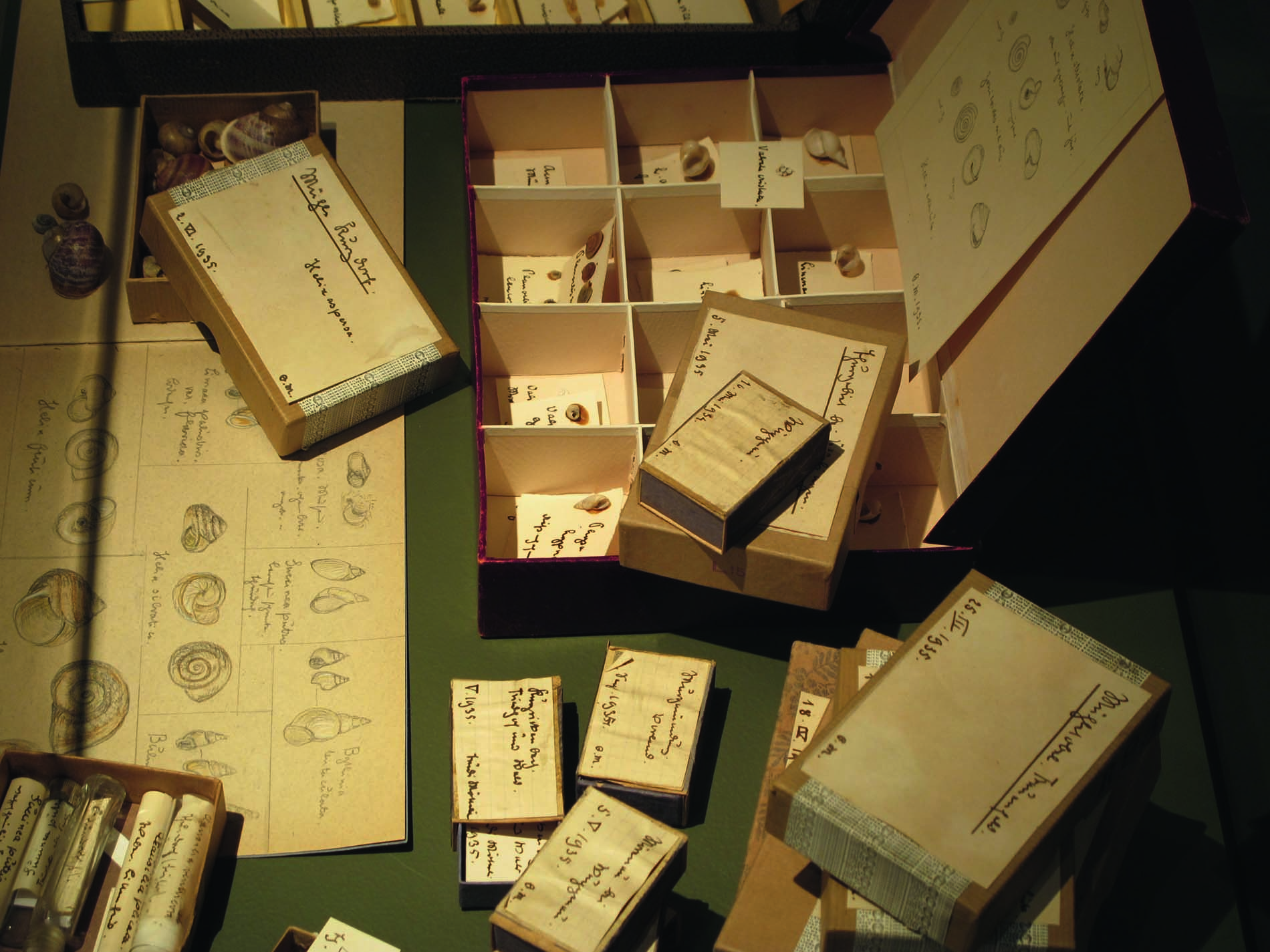 Richner_Mötteli_Abbildung 1